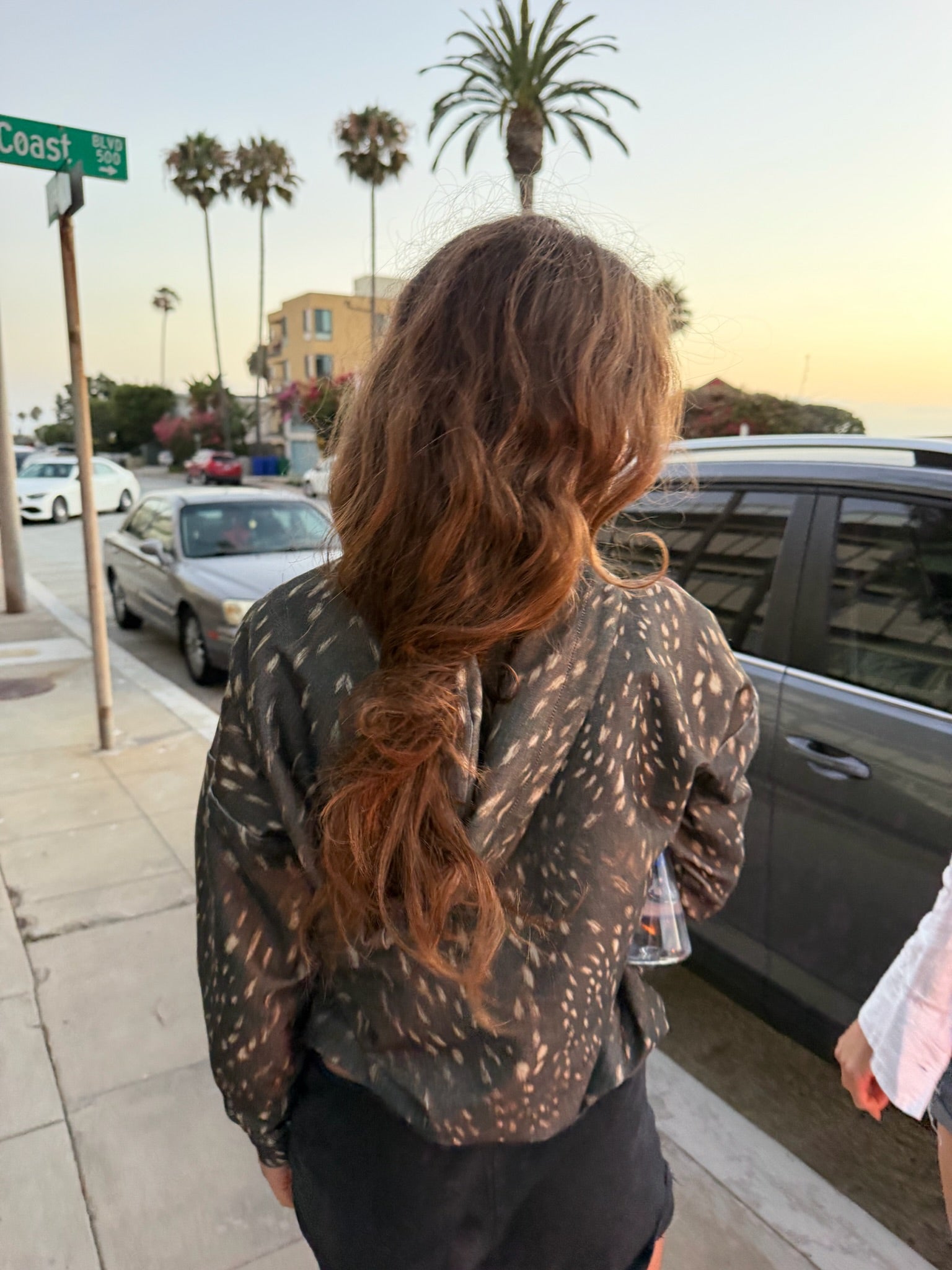 Fawn Cotton Sweatshirt