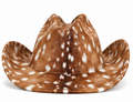 Elene Cowboy Hat